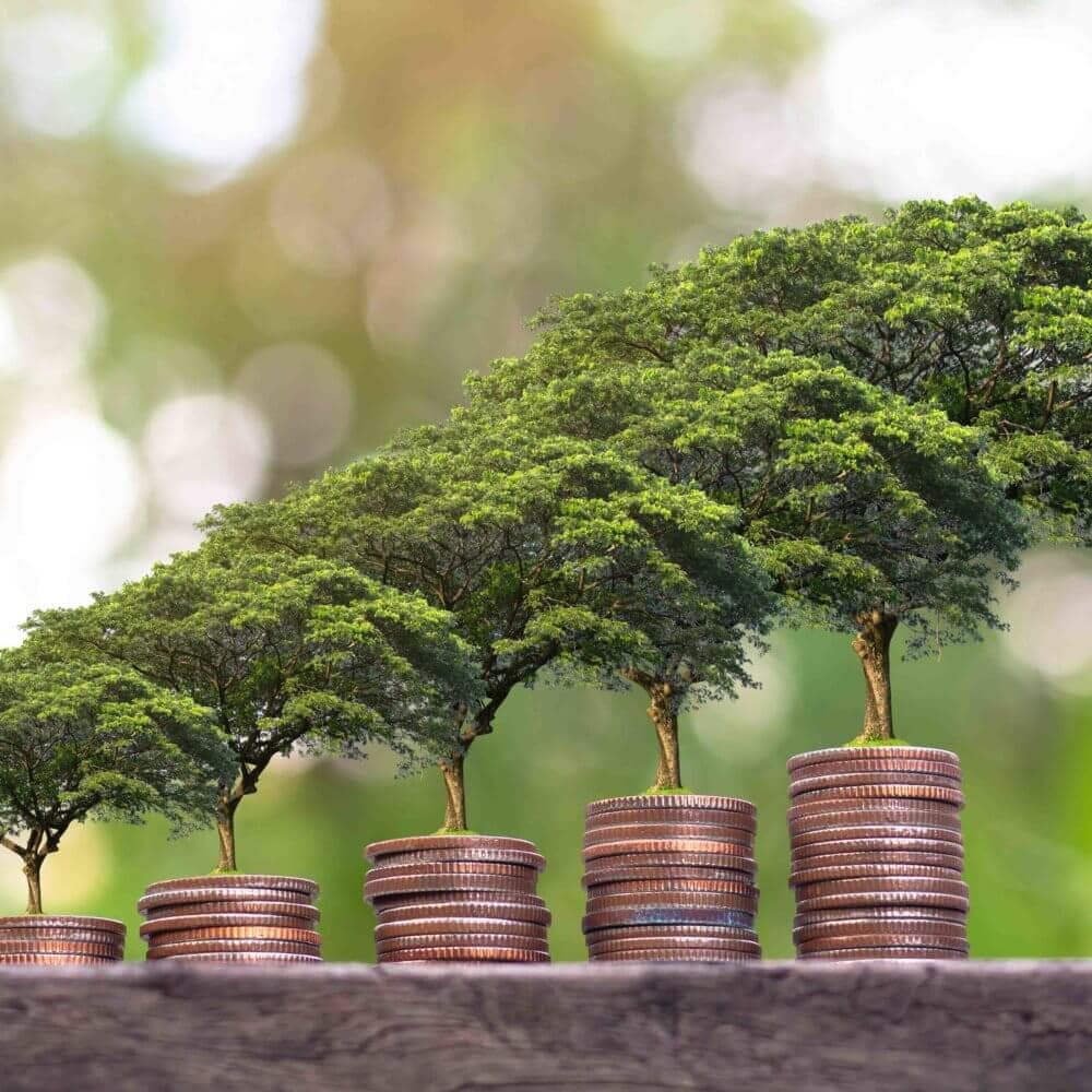 Sustainable money growing trees