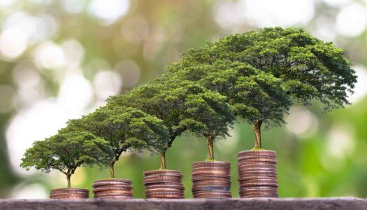 Sustainable money growing trees
