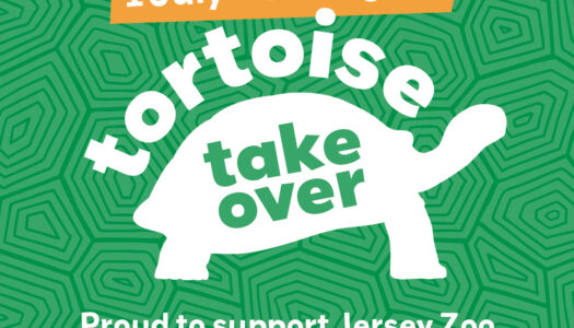 Deloitte Supports Durrell’s Tortoise Takeover