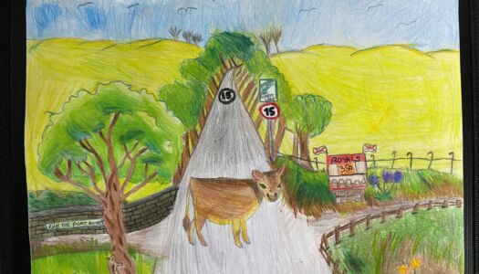 Child's drawing of a Jersey Cow